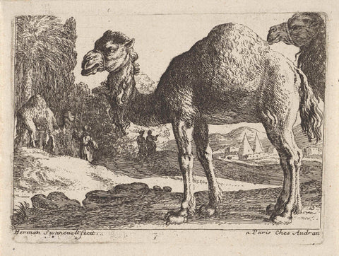 Camels, Herman van Swanevelt, 1643 - 1655 Canvas Print