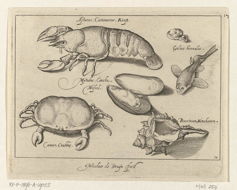 Lobster, crab and shells, Nicolaes de Bruyn, 1581 - 1656 Canvas Print