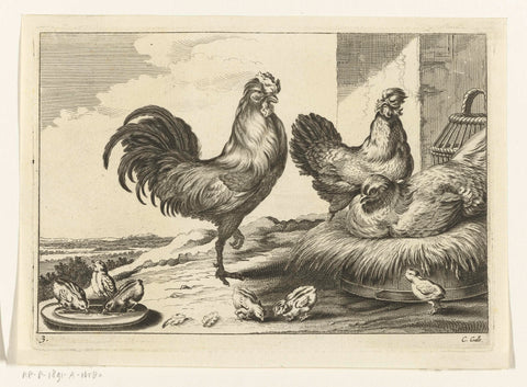 Chicken, roosters and chicks, Peter van Liesebetten, 1654 - 1678 Canvas Print