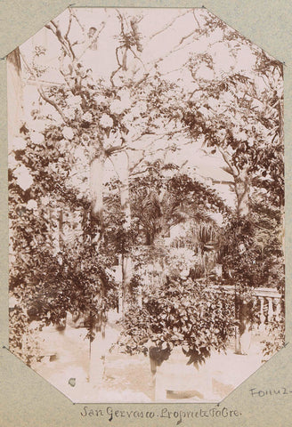 Garden with trees on the Propriété Fabre in San Gervasio, anonymous, c. 1890 - c. 1900 Canvas Print