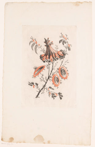 Parasolvormige bloemen, Edouard Gautier Dagoty, 1770 Canvas Print