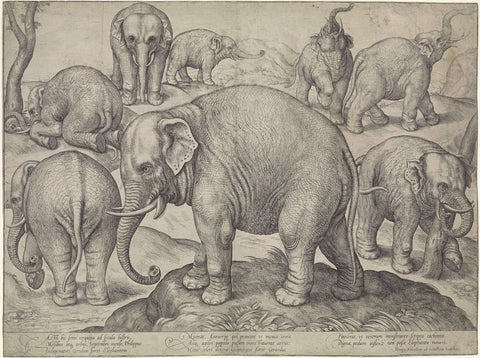 Eight elephants, Gerard van Groeningen, in or after 1563 Canvas Print