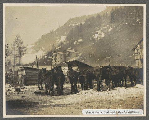 Bead with horses and mules in the Dolomites, Henri de Rothschild (attributed to), 1916 Canvas Print