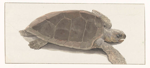 Turtle caught by the boat's crew, Louis Ducros, 1778 Canvas Print