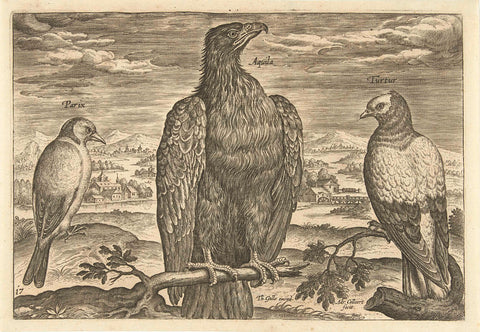 Three birds in a landscape, Adriaen Collaert, 1598 - 1618 Canvas Print