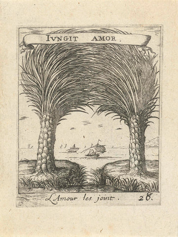 Two palm trees, against each other, Albert Flamen, 1672 Canvas Print