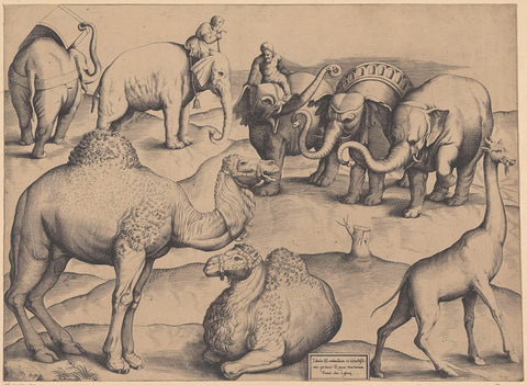 Elephants, dromedaries and a giraffe, anonymous, 1522 - 1577 Canvas Print