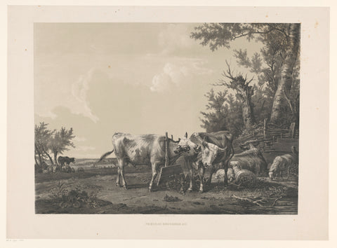 Two cows and cattle in landscape, Jacob Jan van der Maaten, 1857 Canvas Print