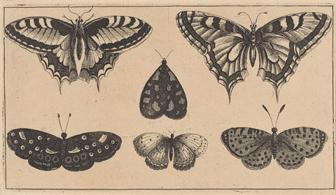 Five butterflies and a moth, Wenceslaus Hollar, 1644 - 1652 Canvas Print