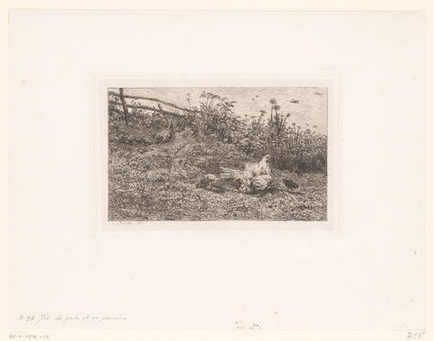 Kip met kuikens, Charles-François Daubigny (attributed to), c. 1860 Canvas Print