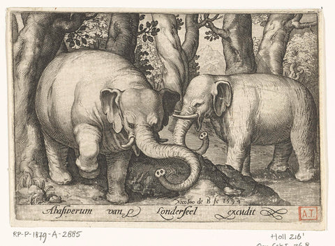 Two elephants, Nicolaes de Bruyn, 1594 Canvas Print