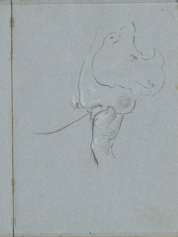 Head and anterior part of rhino Clara, Lorenzo Baldissera Tiepolo (circle of), c. 1751 Canvas Print