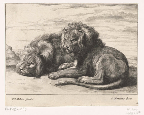 Two reclining lions, Abraham Bloteling, 1655 - 1690 Canvas Print