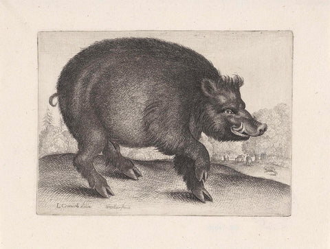 Wild boar, Wenceslaus Hollar, 1644 - 1652 Canvas Print