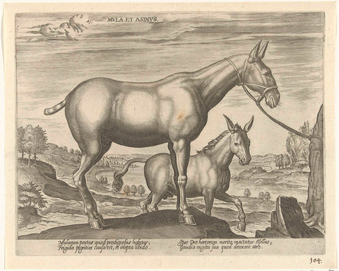 Muilezel en ezel, Philips Galle (attributed to workshop of), c. 1578 - c. 1582 Canvas Print