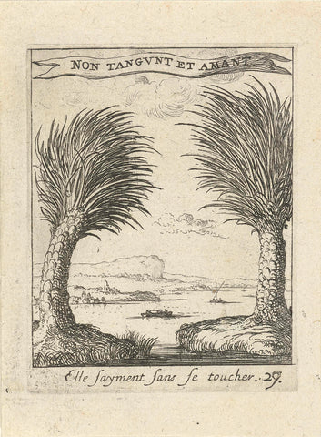 Two palm trees, separately from each other, Albert Flamen, 1672 Canvas Print