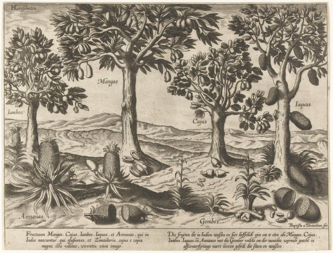 Fruit trees and shrubs from the East Indies, Baptista van Doetechum, 1596 Canvas Print