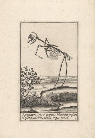 Skeleton of a bird, Hendrick Hondius, 1626 Canvas Print