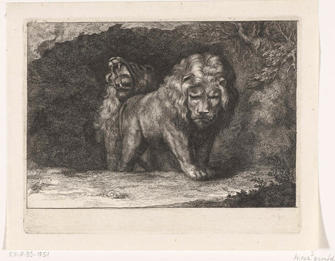 Two lions at the entrance of their den, Abraham Bloteling, 1655 - 1690 Canvas Print