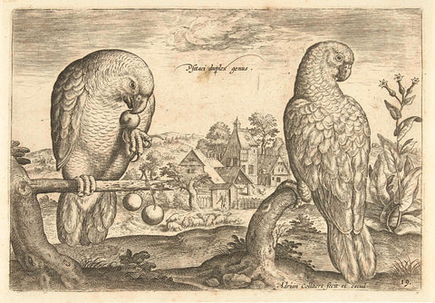 Two parrots in a landscape, Adriaen Collaert, 1598 - 1602 Canvas Print