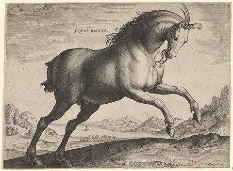 Horse of the breed Equus Regius (the Royal), Hieronymus Wierix, c. 1578 - c. 1582 Canvas Print