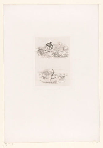 Duck and a Heron, Karl Bodmer, 1847 Canvas Print