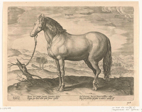 Horse from Turkey, Hendrick Goltzius (attributed to), c. 1578 - c. 1582 Canvas Print