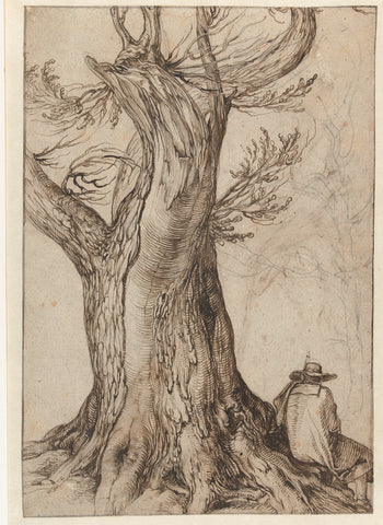 Study of a tree trunk, Jacob de Gheyn (II), 1598 - 1608 Canvas Print