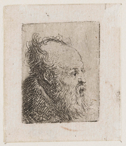 Old Bearded Man, with Mouth Half Open, Rembrandt van Rijn, c. 1629 Canvas Print