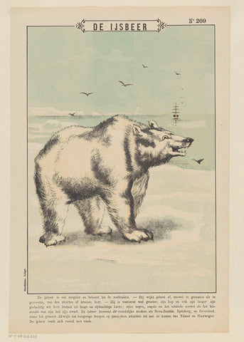 The polar bear, Gordinne, 1894 - 1959 Canvas Print