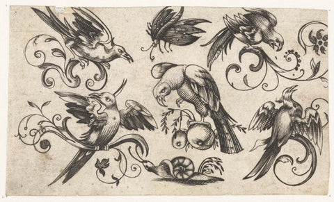 Five birds, a butterfly and a snail, Adriaen Muntinck (possibly), c. 1600 - c. 1699 Canvas Print