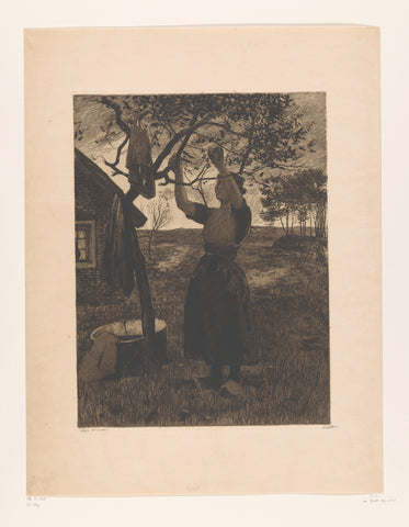 Woman reaches up to the branches of an apple tree, Willem Witsen, c. 1908 - c. 1909 Canvas Print