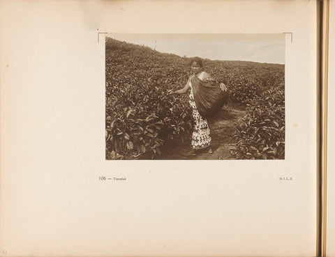 Page 106 of photo book of the General Association of Rubber Planters on the East Coast of Sumatra (A.V.R.O.S.), J.W. Meyster, c. 1924 - c. 1925 Canvas Print