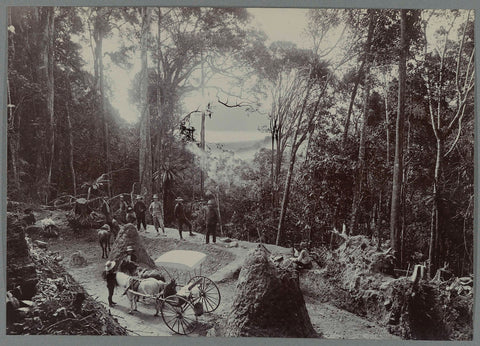 View of the lake from the Boer ni Poepandji, anonymous, 1903 - 1913 Canvas Print