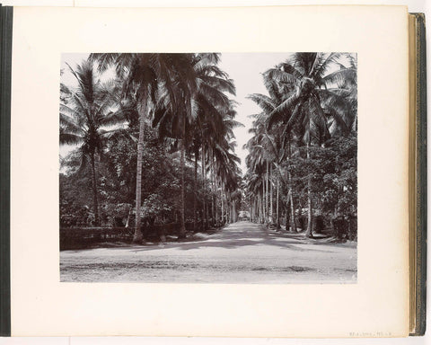 View along the Deli Maatschappijlaan, Medan, Sumatra (Deli Mij. Avenue), Carl J. Kleingrothe, c. 1885 - 1900 Canvas Print
