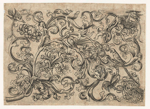 Tendrils with birds, Israhel van Meckenem, 1455 - 1503 Canvas Print