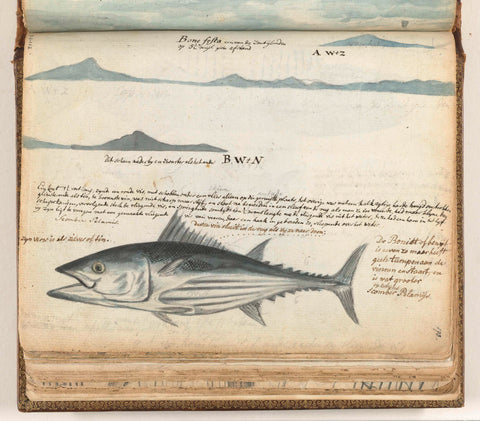 Coastal profiles of the Canary Islands. Vis., Jan Brandes, 1778 Canvas Print