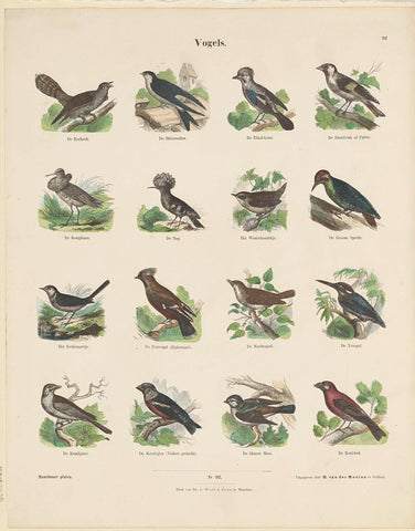 Vogels, Ernst Fröhlich, c. 1820 - 1843 Canvas Print