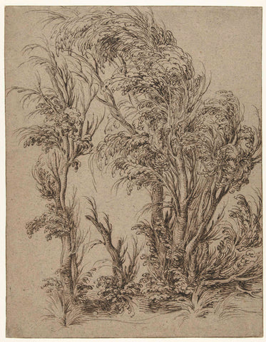 Trees in the wind, Jacob de Gheyn (II), 1598 - 1608 Canvas Print