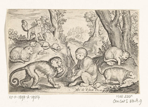 Monkeys, cats and mice, Nicolaes de Bruyn, 1621 Canvas Print