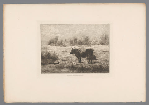 Cows in a meadow, Marcellin de Groiseilliez, 1876 Canvas Print