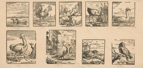 Nine different bird species, Dirck de Bray, 1660 - 1663 Canvas Print