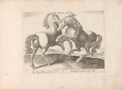 Two fighting horses, anonymous, 1624 - before 1648 Canvas Print