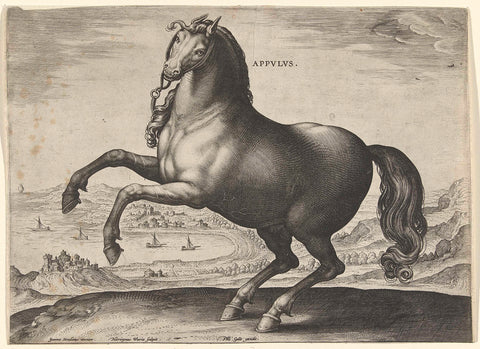 Horse from southern Italy (Appulus), Hieronymus Wierix, c. 1578 - c. 1582 Canvas Print