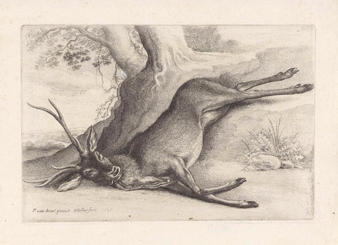 Shot dead deer, Wenceslaus Hollar, 1646 Canvas Print