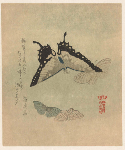 Four butterflies, Kubota Shunman, c. 1880 - c. 1900 Canvas Print