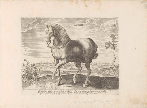 Horse from Guelders, anonymous, 1624 - before 1648 Canvas Print