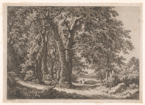 Forest path overlooking a lake, Eugène Bléry, 1861 Canvas Print