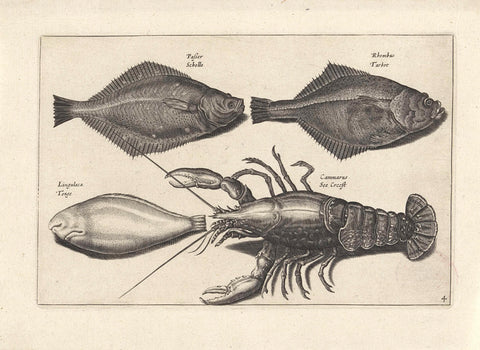 Three fish and a lobster, anonymous, 1634 Canvas Print