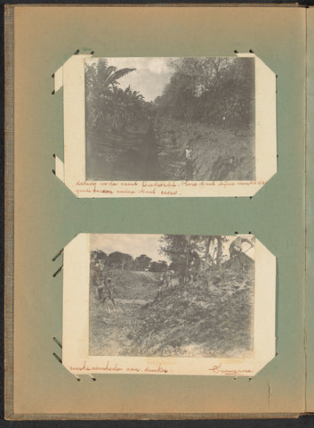 Banana trees and cocoa trees at Plantation Dordrecht, anonymous, c. 1912 - c. 1913 Canvas Print